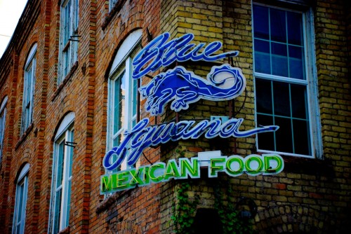 The Blue Iguana - Salt Lake City - Jake Spurlock