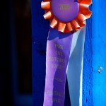 Purple Ribbon Purple Ribbon