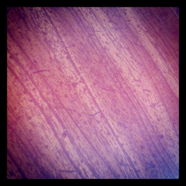 The Table
