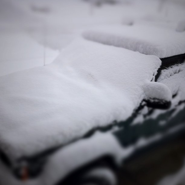 Powdered Sugar. All over my car. 