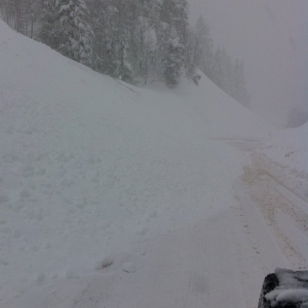 Yep. Avalanche. We're not going anywhere. 
