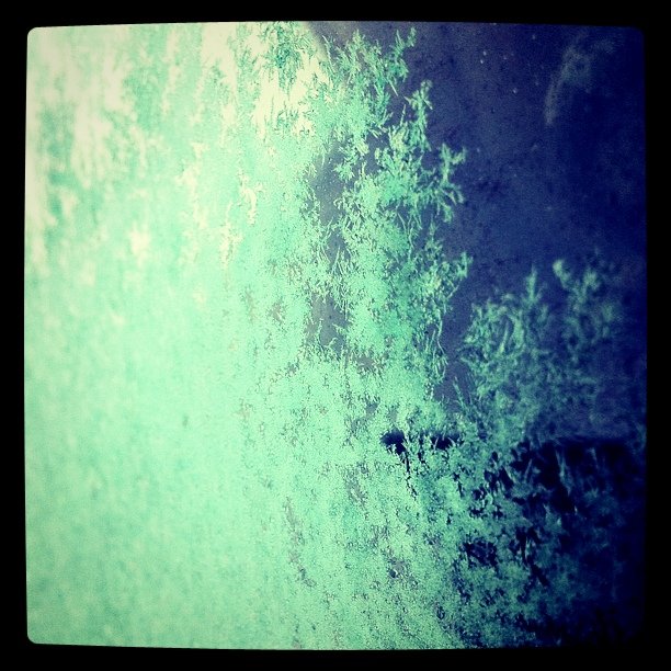 Frost