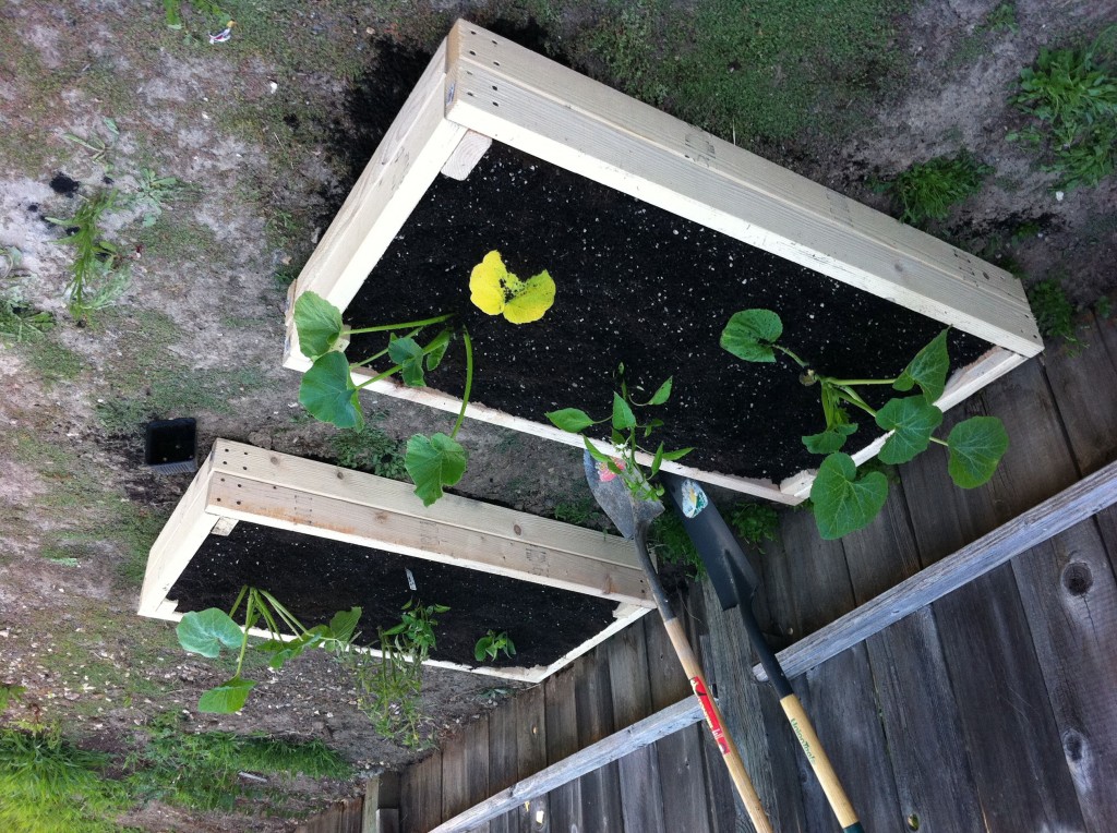 SImple 2x4 Planter Boxes