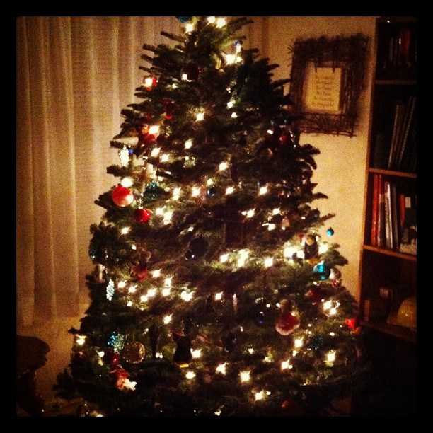 The Christmas Tree