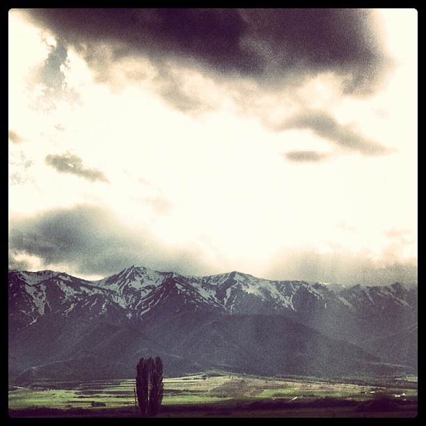 The Mountains