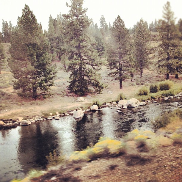 The mighty Truckee River