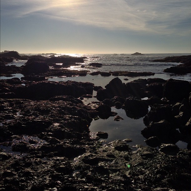 No filters. Just California.