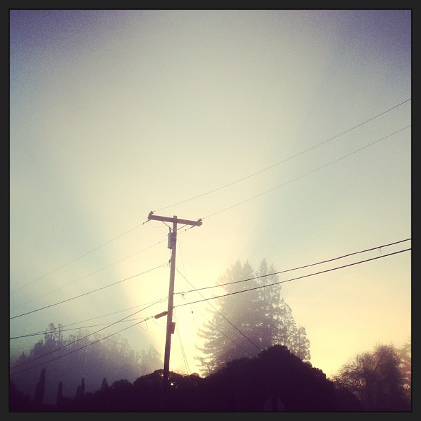Scatter Sunshine