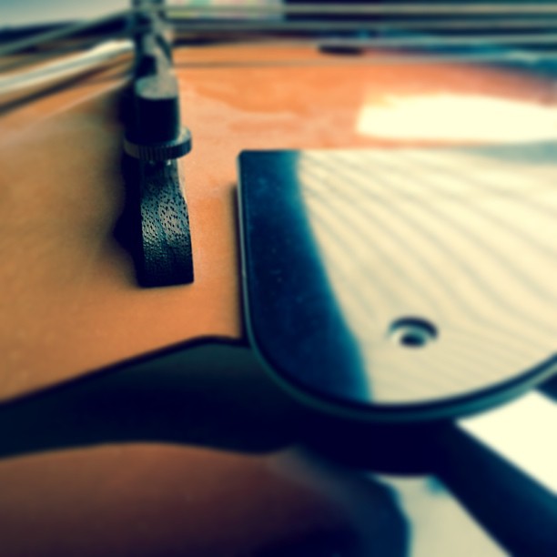 Didn't realize iOS 7 had camera filters... Like this quite a bit.