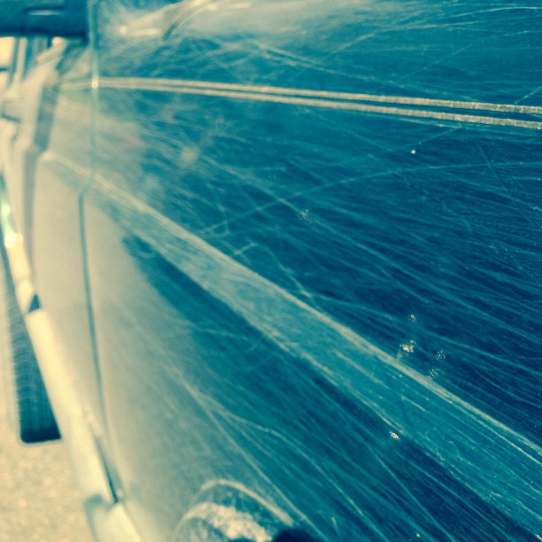 Drove through a few bushes today...