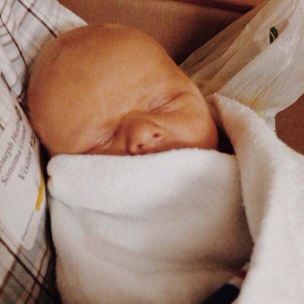Snug as a bug in a rug... #vscocam