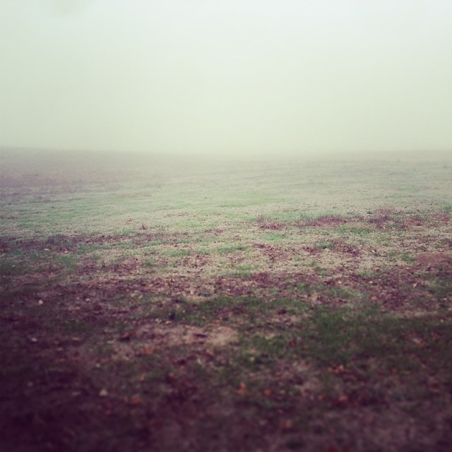 Farming in the cloud.