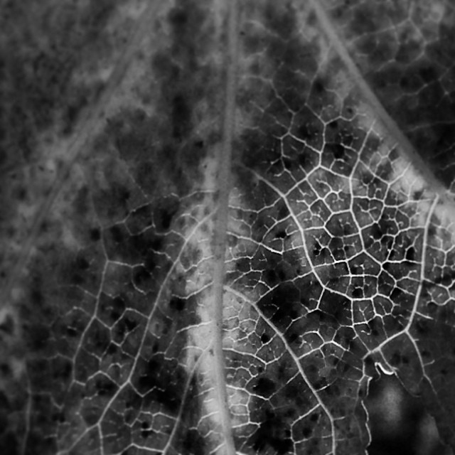 Lost civilization...
#macro